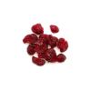 Yupik Organic Cranberries, 2.2 lb (35.2 oz), Non-GMO, Gluten-Free, Kosher, Vegan, Sweetened Dried Fruits, Fruity & Tart, Plump & Chewy, Source of Fiber, Healthy Snacks, Ideal for Baking & Topping(2.2 Pound (Pack of 1))