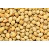 Yupik Unsalted Roasted Soya Beans, 2.2 lb (35.2 oz), High Protein Snack, Vegan, Gluten-Free, Kosher, Nutty Flavor, Source of Fiber, Healthy Crunchy Snack(35.2 Ounce (Pack of 6))