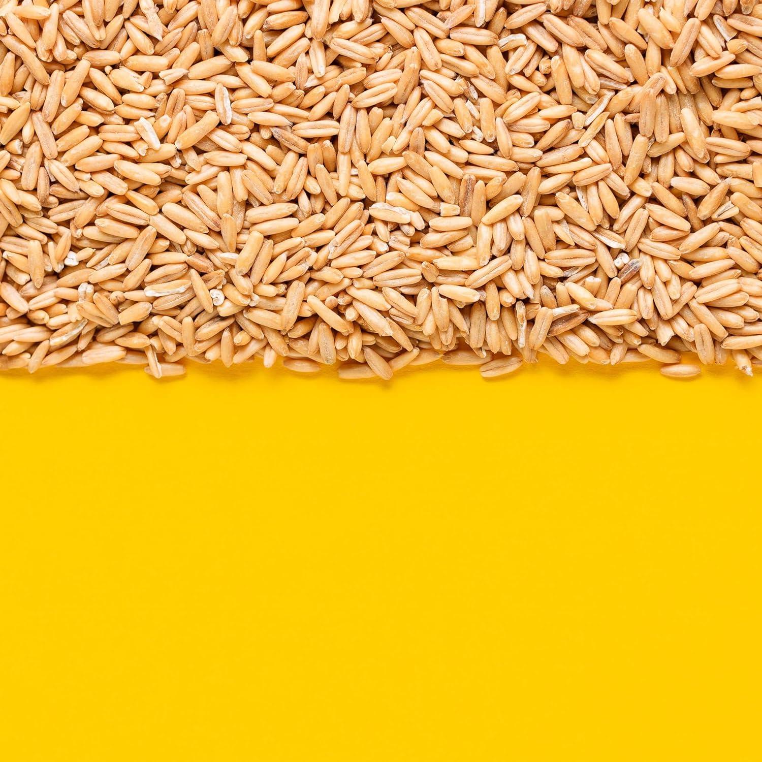 image:imageYupik Organic Whole Oat Groats22 lb 352 oz NonGMO Vegan Kosher Raw Whole Grain Oats SaltFree Nutty Flavor Good Source of Fiber Ideal for Baking amp Cooking22 lb Pack of 2