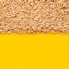 Yupik Organic Whole Oat Groats,2.2 lb (35.2 oz), Non-GMO, Vegan, Kosher, Raw, Whole Grain Oats, Salt-Free, Nutty Flavor, Good Source of Fiber, Ideal for Baking & Cooking(2.2 lb (Pack of 6))