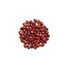 Yupik Organic Adzuki Beans, 2.2 lb (35.2 oz), Non-GMO, Vegan & Gluten-Free, USDA Certified, Kosher, Mildly Nutty Flavour, Ideal for Soups, Stews & Casseroles(2.2 Pound (Pack of 1))