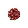 Yupik Organic Adzuki Beans, 2.2 lb (35.2 oz), Non-GMO, Vegan & Gluten-Free, USDA Certified, Kosher, Mildly Nutty Flavour, Ideal for Soups, Stews & Casseroles(35.2 Ounce (Pack of 6))