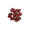 Yupik Organic Cranberries, Apple Juice Infused, 2.2 lb (35.2 oz), Non-GMO, Gluten-Free, Vegan, Kosher, Dried Fruits, No Added Sugar, Plump & Chewy, Source of Fiber, For Baking & Topping(2.2 Pound (Pack of 1))