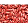 Yupik Organic Dark Red Kidney Beans, 2.2 lb (35.3 oz), Non-GMO, Vegan & Gluten-Free, USDA Certified, Kosher, Dried Legumes, High in Fiber & Protein, Perfect for Soups, Salads & Chili(35.2 Ounce (Pack of 2))