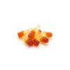 Yupik Organic Gummy Cola Bottles, 1.1 lb (17.6 oz), Gluten-Free, Non-GMO, Natural Flavor, Chewy Gummies, Sweet Candy, Delicious Snack, Ideal for Gifting & Holidays(1.1 Pound (Pack of 1))