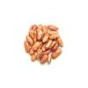 Yupik Organic Pinto Beans, 2.2 lb (35.3 oz), Non-GMO, Vegan & Gluten-Free, USDA Certified, Kosher, Dried Beans, Excellent Source of Protein & Fiber, Perfect for Refried Beans, Soups & Dips(Pinto)